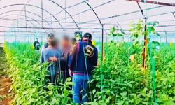 Diyarbakır’da 7 yıl önce cinayet işledi, Antalya’da yakalandı