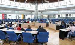 AB’ye üye 13 ülkeden gelen gençler Diyarbakır’ı gezdi