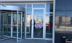 Gözaltındaki akademisyen serbest bırakıldı