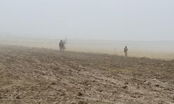 Ankara’da düşen uçakla ilgili önemli gelişme!