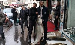 Batman’da dev turna balığı ilgi odağı oldu