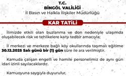 Bingöl'de kar tatili