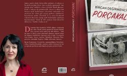 Bir Diyarbekirli gurbete gitse