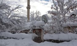 Arabalar ve tek katlı evler kara gömüldü