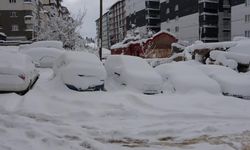 Artvin merkez ve 4 ilçede eğitime ara verildi