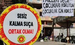 Cizre'de taciz iddiasıyla gözaltına alınan öğretmen tutuklandı