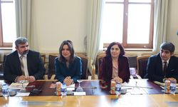 DEM Parti Konferansı: Uluslararası zirvede buluşacaklar