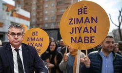 DEM Partili vekilden, anadilde sağlık hakkı talebi