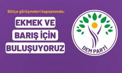 DEM Parti, 4 koldan Ankara'ya yürüyecek!