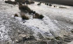 Diyarbakır Dicle Nehri'ndeki esrarengiz olayın kaynağı belli oldu; DİSKİ'den net açıklama