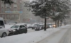 Diyarbakır'da yoğun kar yağışı