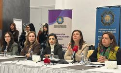 Diyarbakır’da 311 kadın sığınma evine başvurdu