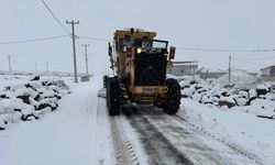 Diyarbakır’da 572 kilometre yol kardan temizlendi