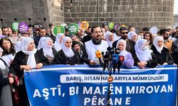 Diyarbakır’da 63 kurumdan çağrı: Kürt meselesinin çözümünde cesur adımlar atılsın