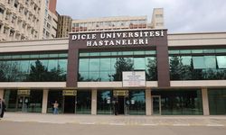 Diyarbakır’da bıçak parası davası: O doktor görevine geri döndü