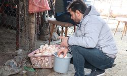 Diyarbakır’da bu yumurtanın tanesi 50 TL