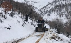 Diyarbakır’da Büyükşehir Belediyesi karla mücadeleye hazır