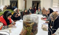 Diyarbakır’da doğal bitkilerle uygulamalı eğitim