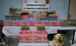 Diyarbakır’da kaçakçılık operasyonları