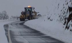 Diyarbakır'da kar nedeniyle kapanan yollar açılıyor