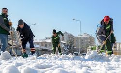 Diyarbakır’da kar ve buzlanmaya karşı kaldırım temizliği