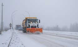 Şanlıurfa'da yollar tır ve kamyon geçişlerine kapatıldı