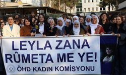 Diyarbakır’da Leyla Zana'ya yönelik saldırılara suç duyurusu