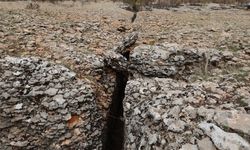 Diyarbakır'da milyonlarca yıl önceye ait fosiller bulundu