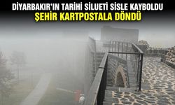 Diyarbakır’ın tarihi silueti sisle kayboldu: Şehir kartpostala döndü