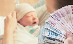 Doğum yardımından en fazla hangi il yararlandı