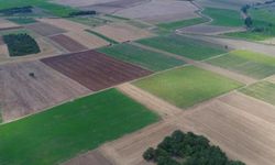 Diyarbakır Ergani’deki tarla icradan satılığa çıkarıldı!