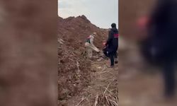 Kayıp olarak aranan çocuk, toprağa yarı gömülü bulundu