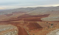 GAP bölgesinde 50 bin dekar taşlık arazi tarıma kazandırılacak