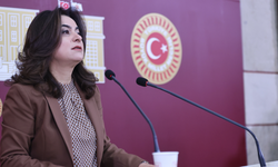 DEM Partili Koçyiğit: Barış güvenlikle değil, hukukla kurulacak