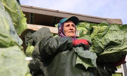 Hasadın yükü kadınların sırtında