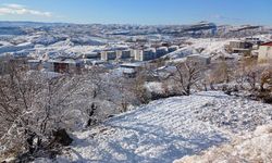 Diyarbakır Kulp'ta beyaz esaret!