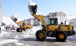 Kamyonlarla kar taşınıyor