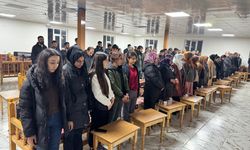 DEM Parti’den Lice’de uyuşturucu ve fuhuşla mücadele çağrısı