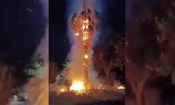 Mardin’de akıl almaz olay!