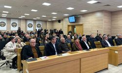 Meral Danış Beştaş’tan, Diyarbakır’da Türklere çağrı