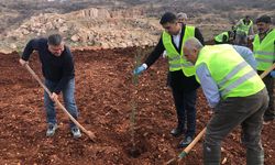 Mermer firması DİMER’den örnek davranış…Maden ocağı alanlarını yeniden doğaya kazandırdılar