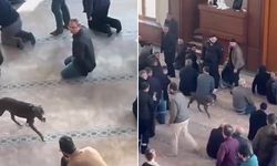 Pitbull camiye girdi, cemaat panik yaşadı