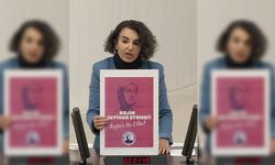 DEM Parti’den Rojin Kabaş için adalet çağrısı!