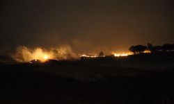 Şanlıurfa'da anız yangınından bir kişi öldü
