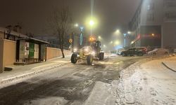 Şırnak, Siirt, Elazığ ve Bingöl'de 269 yerleşim yerine ulaşım yok!