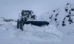 Şırnak'ta kar esareti: Beyaz örtü yarım metreyi geçti
