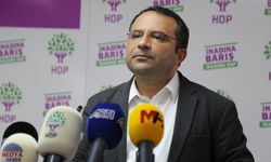 Tayip Temel: İktidarın raporu sürecin ciddiyetiyle uyumlu olmalı