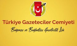 TGC: Gazetecilerin hedef göstertilmesi kaygı verici