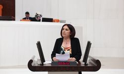 Ukraynalı çocukların istismarı Meclise taşındı