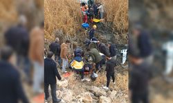 Van'da otomobil bataklığa uçtu: 5 yaralı